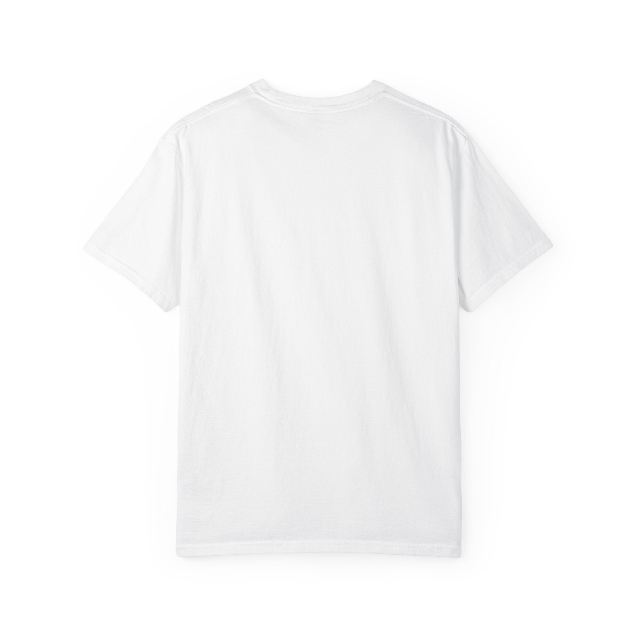 Impulsive Skate Lion T-Shirt — Graphic Skateboard Streetwear